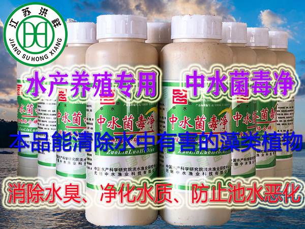 拋丸機(jī)