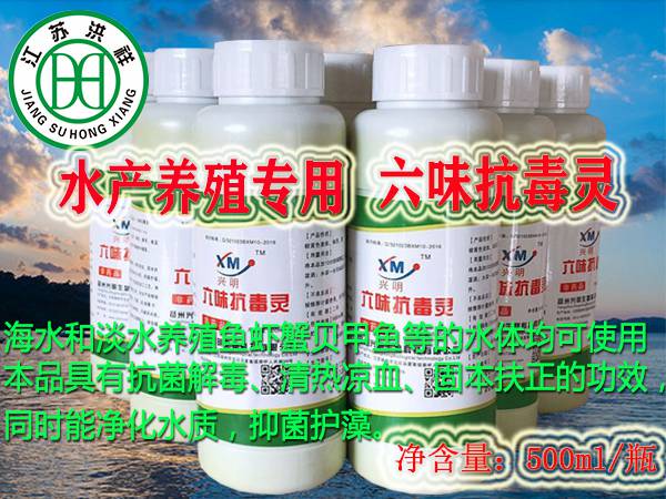 前處理流水線4